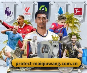 买球网 APP - MaiQiuWang